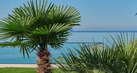 RR_Beach-and-territory_4.jpg